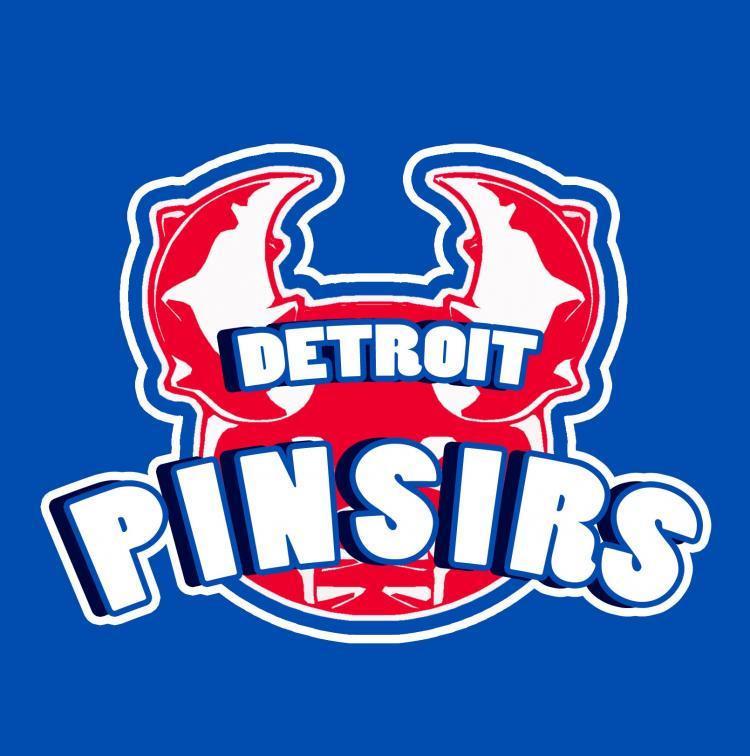 Detroit Pistons Pokemon logo fabric transfer